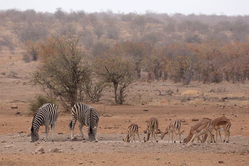 Serengeti National Park